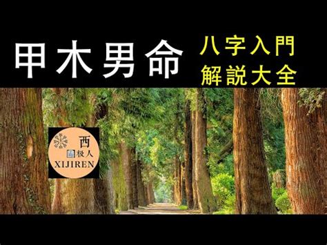 木命人職業|甲木命適合什么職業 選擇屬木行業為最佳